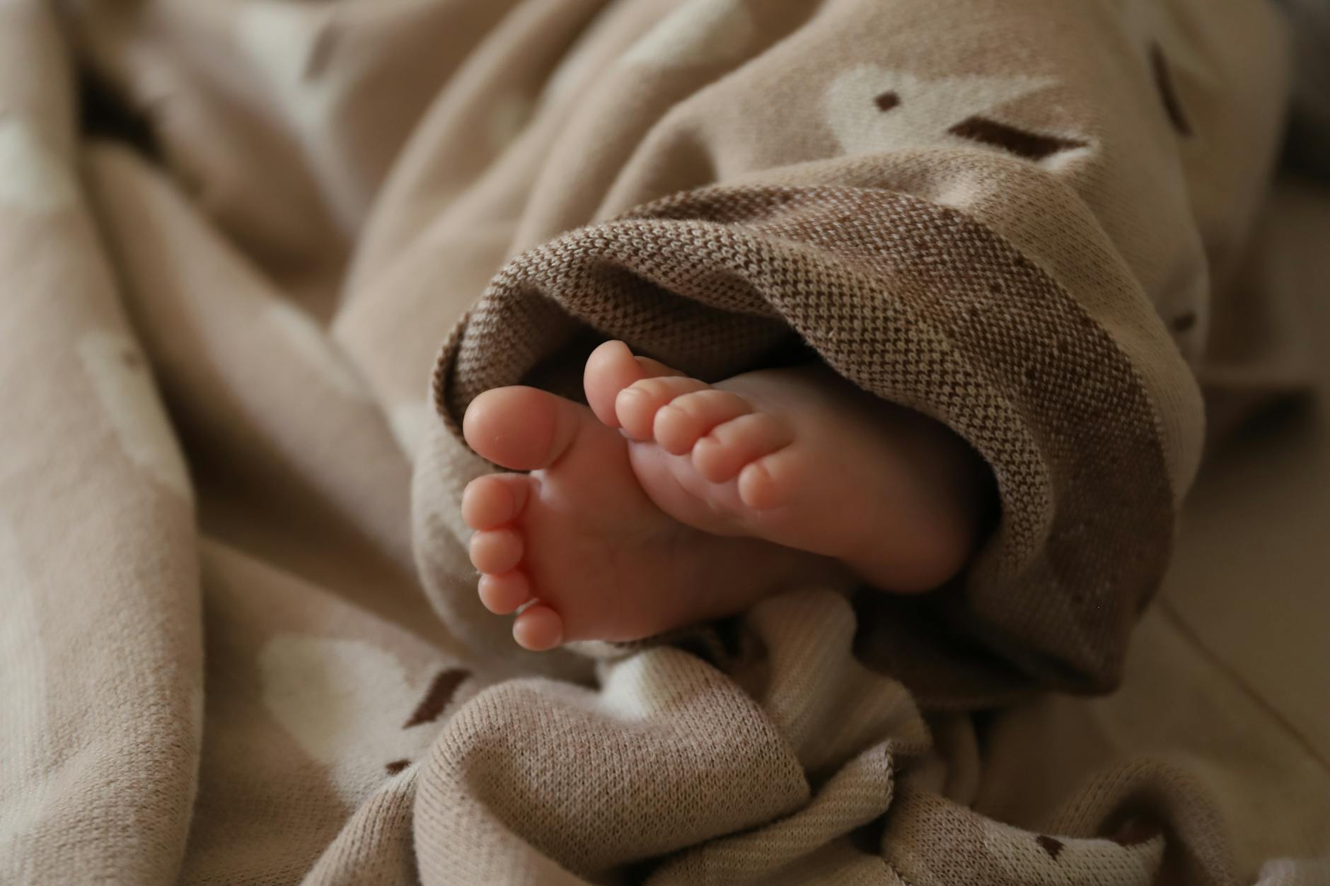 Adorable baby feet wrapped in a soft, cozy blanket, creating a warm and comforting scene.