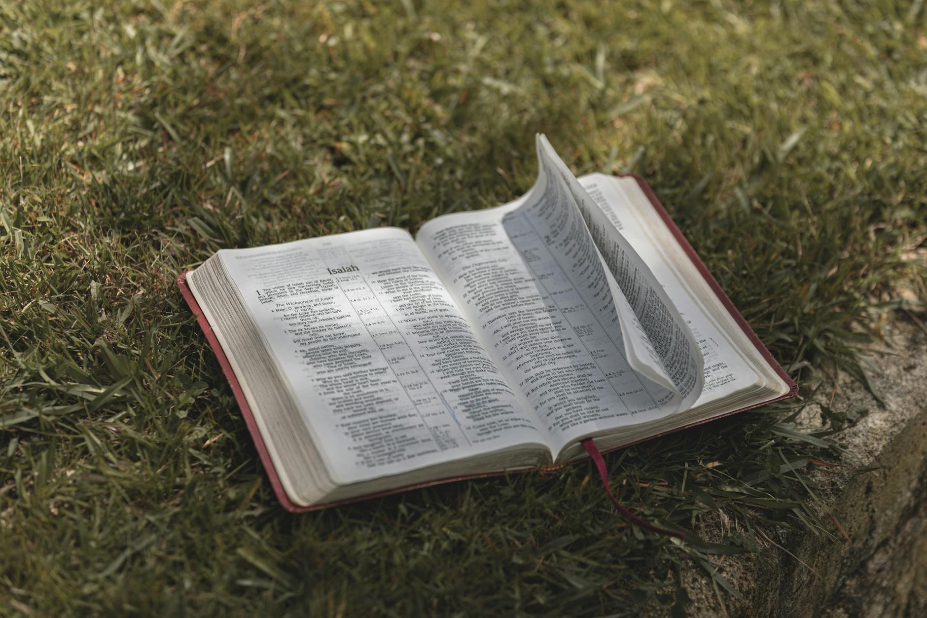 Open Bible resting on grass, capturing a serene and contemplative moment outdoors.