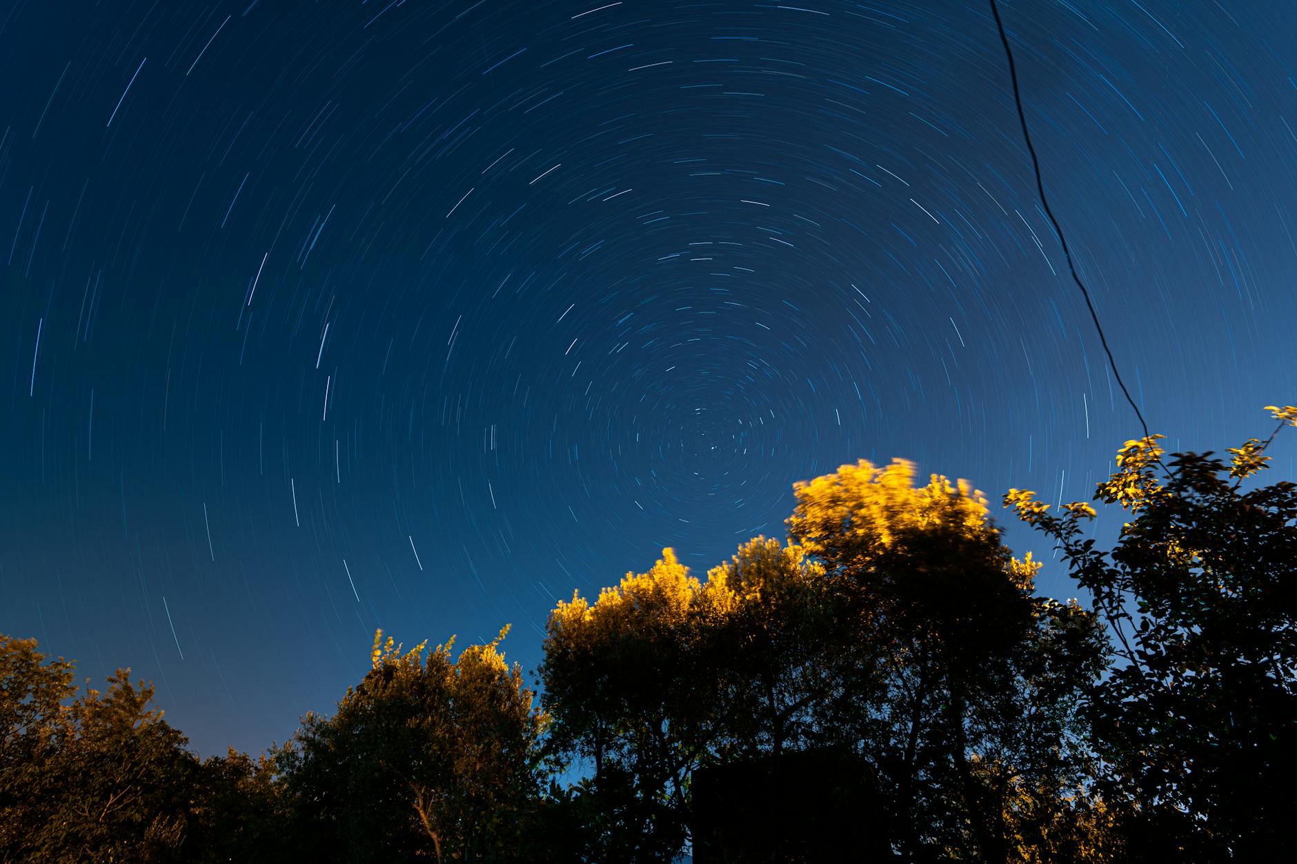 Long exposure of night sky with star trails over silhouetted trees, capturing cosmic movement.