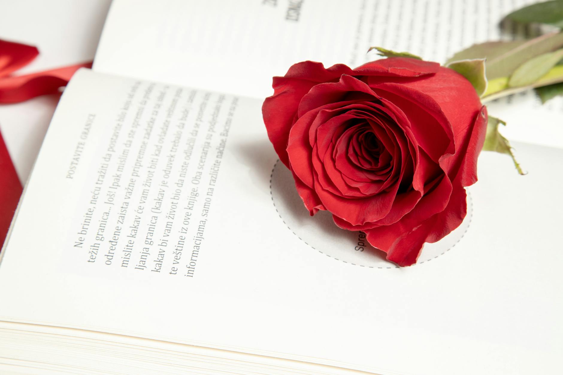 A vivid red rose resting on the pages of an open book, creating a romantic and thoughtful atmosphere.